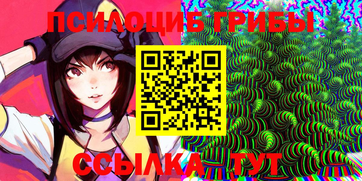 Псилоцибиновые грибы Psilocybe Людиново