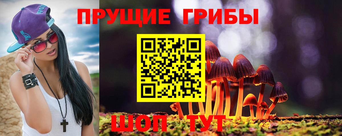 Псилоцибиновые грибы ЛСД  Вход с VPN  Галлюциногенные грибы мицелий  купить   Людиново 